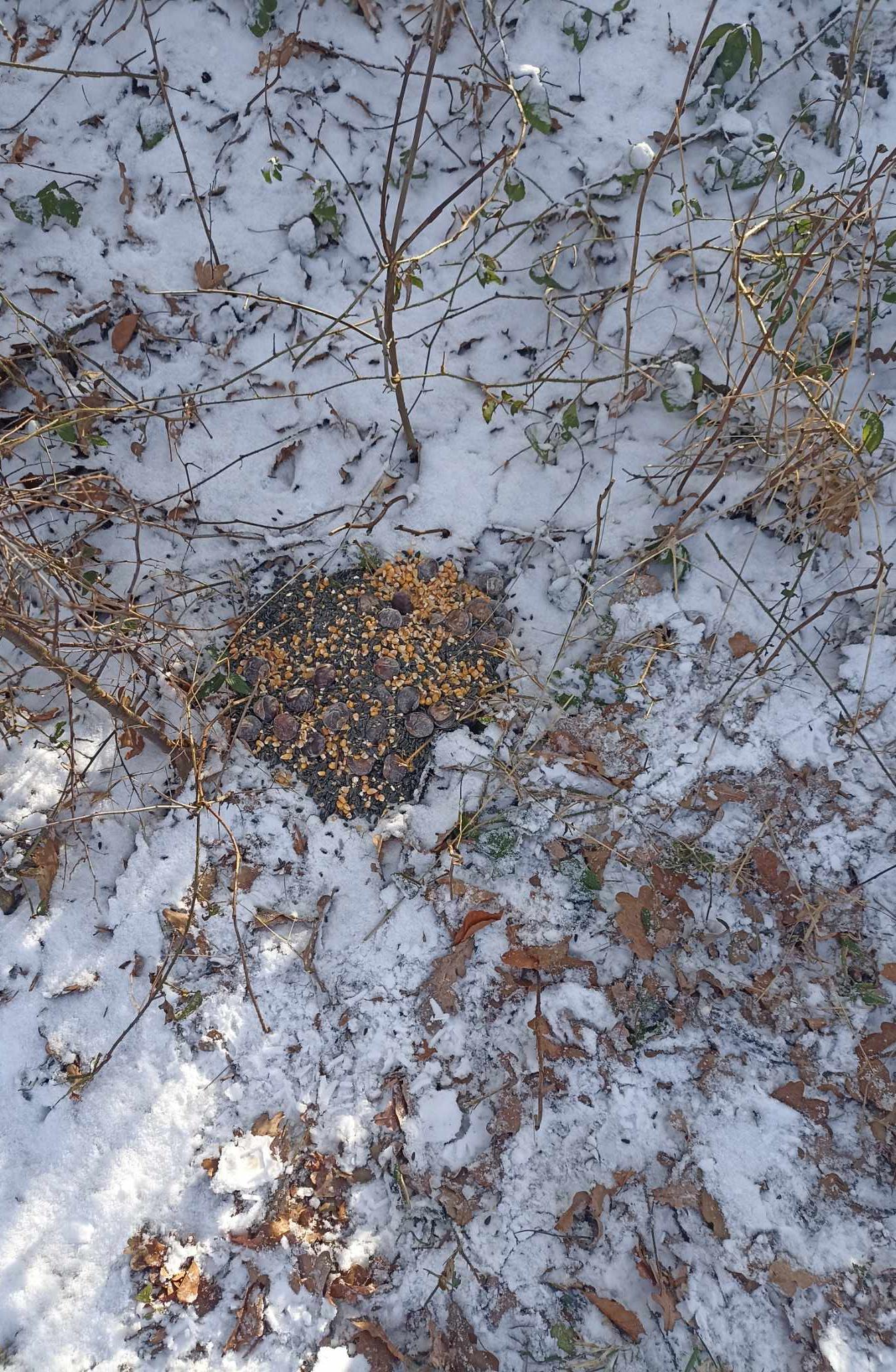 Krmení zvířat - naučná stezka - 12