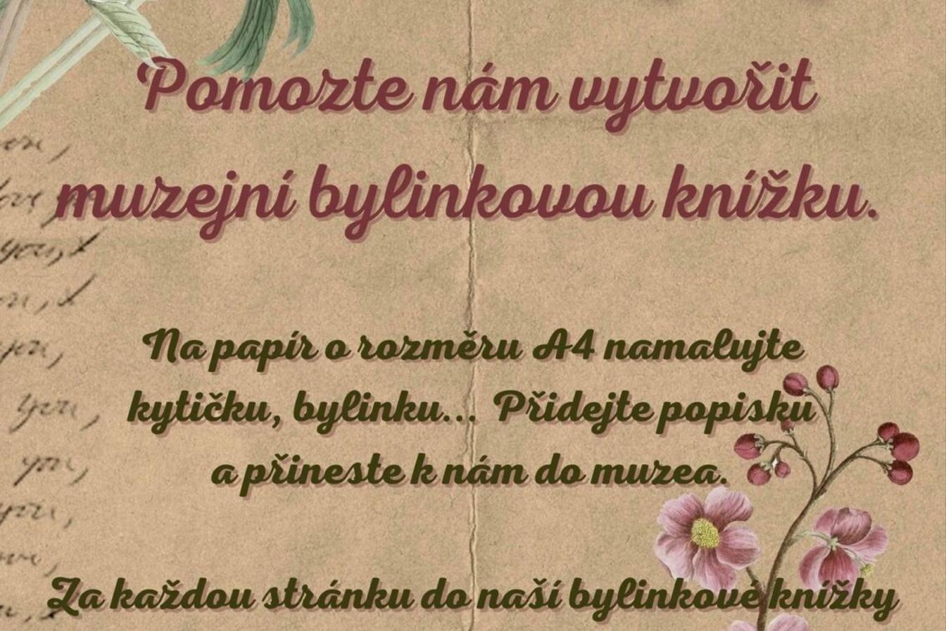 Léčivé byliny - žáci 7. třídy