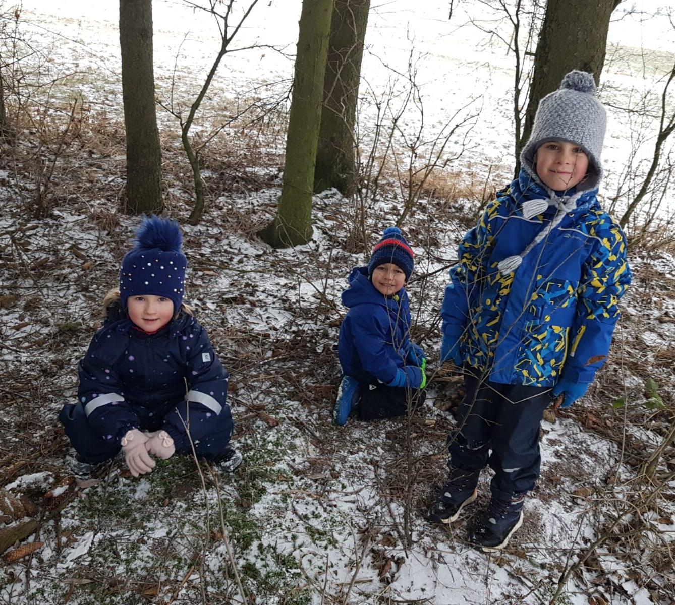 SOVIČKY: ,,ZVÍŘATA A PTÁCI V ZIMĚ" - 44