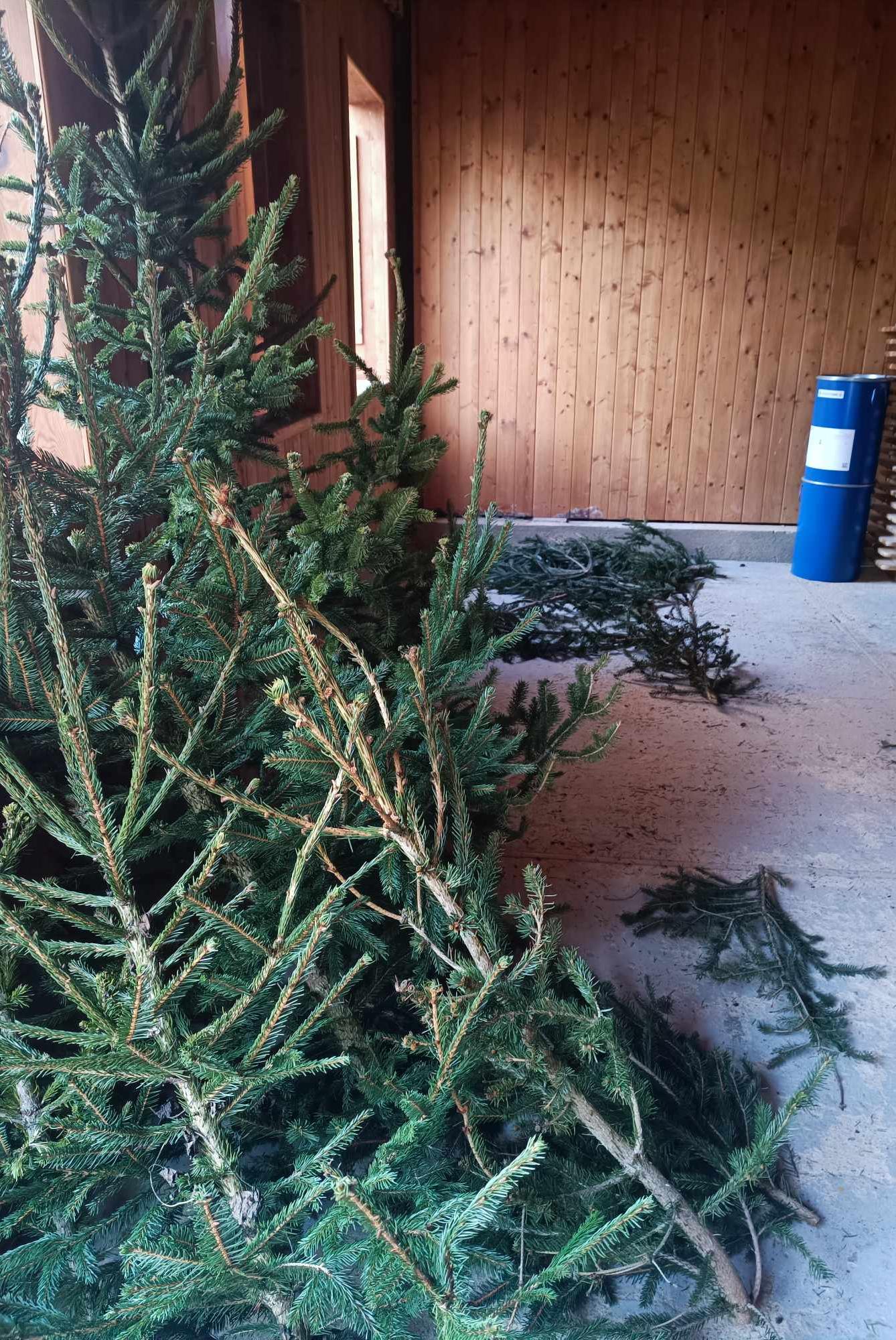 ŘÍJEN A LISTOPAD ve 2. oddělení a společné akce - 27