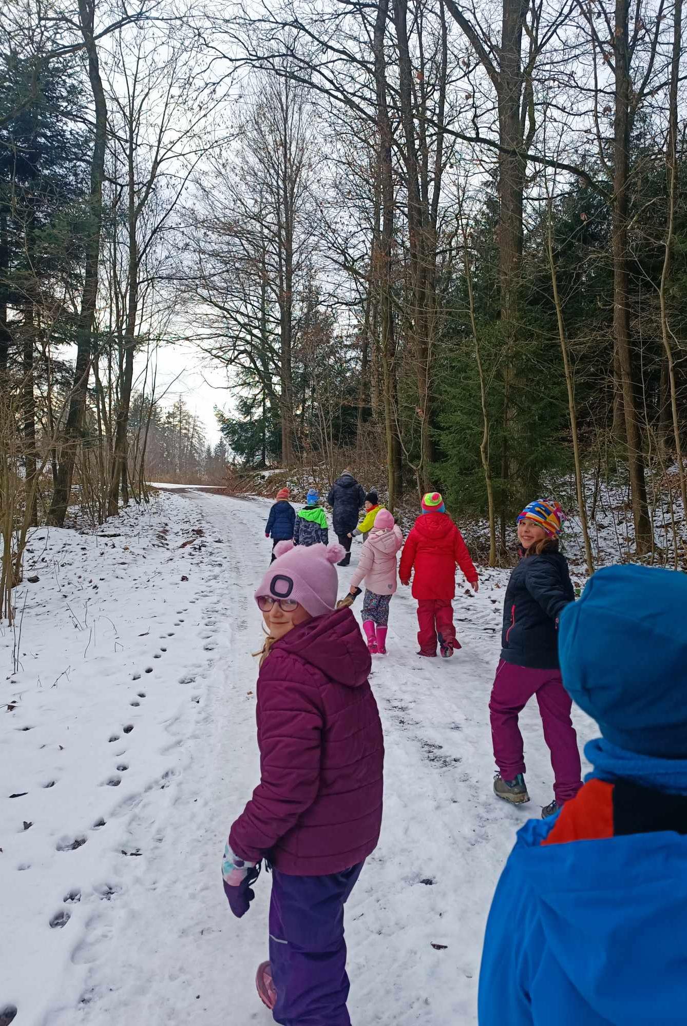 VZCHÁZKA K LESU - DRUŽINKA - 1