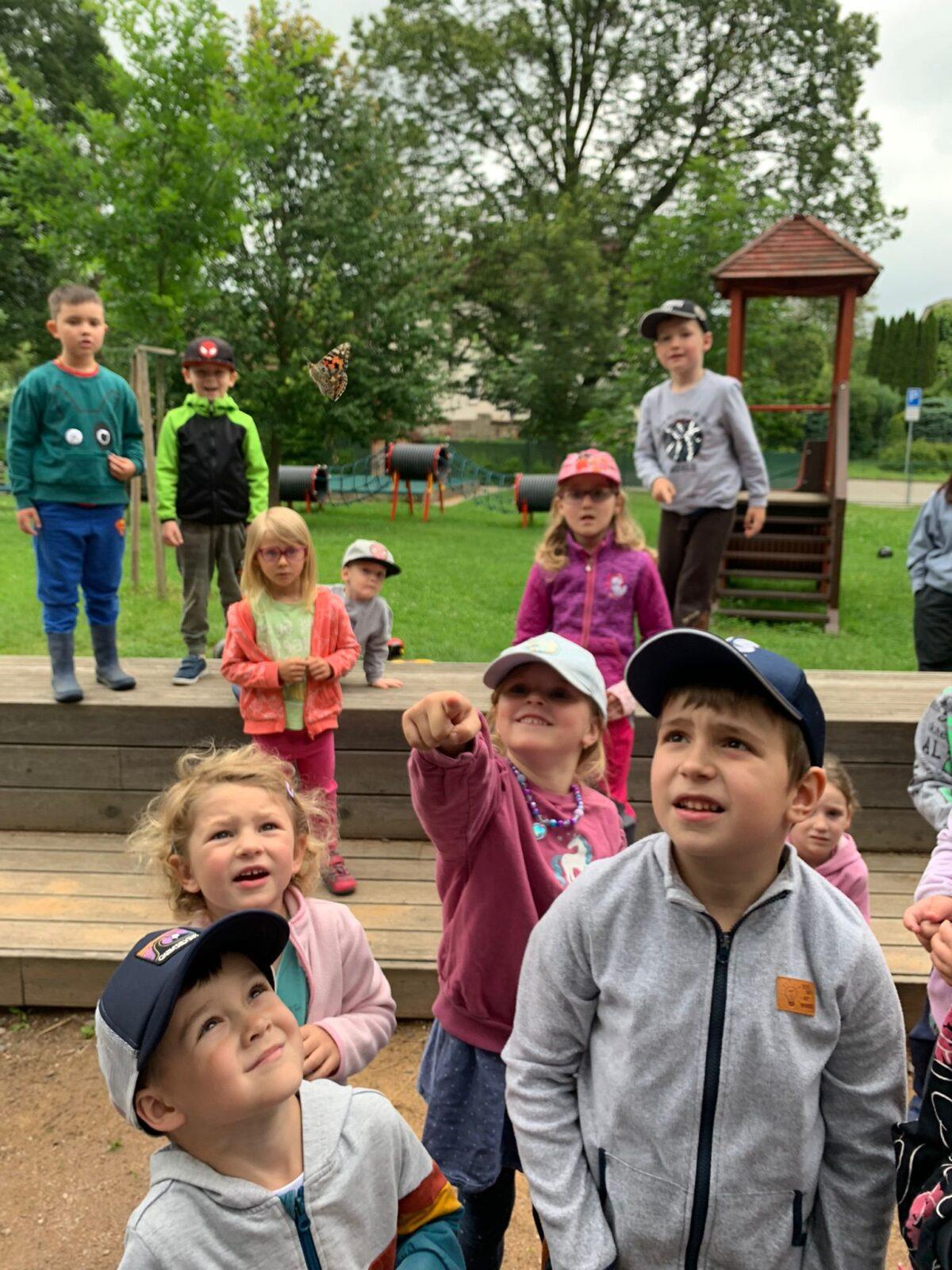 děti pozorovaly vývoj motýla... - 9