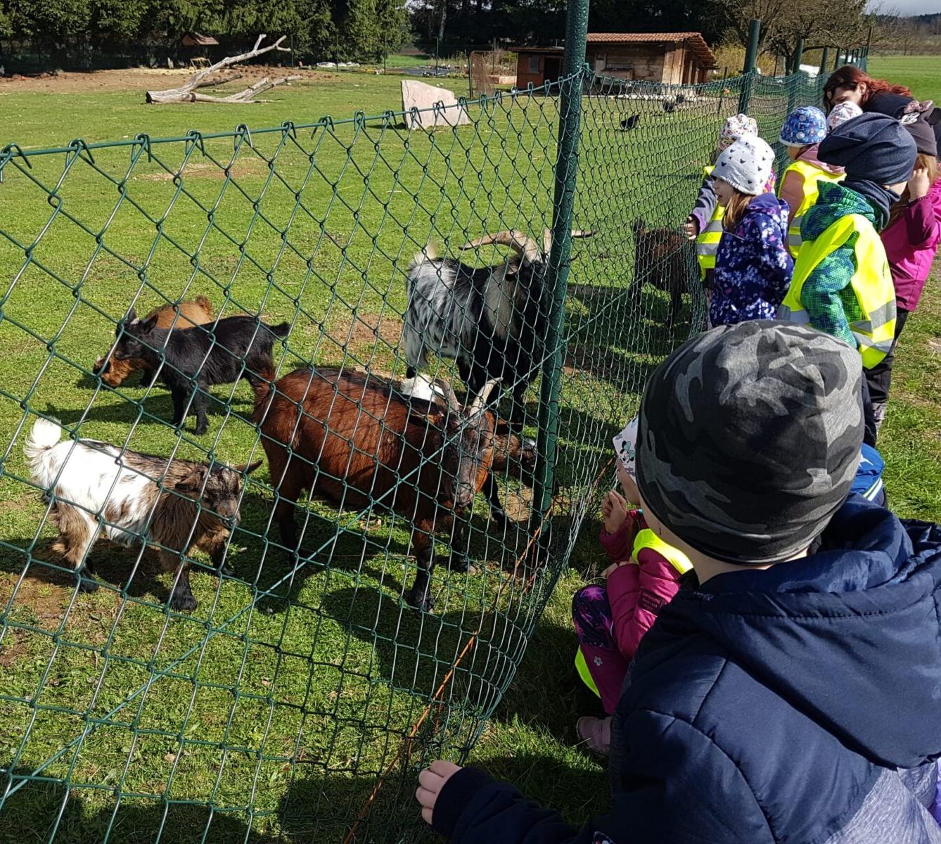 SOVIČKY: ,,VELIKONOČNÍ SVÁTKY" - 24