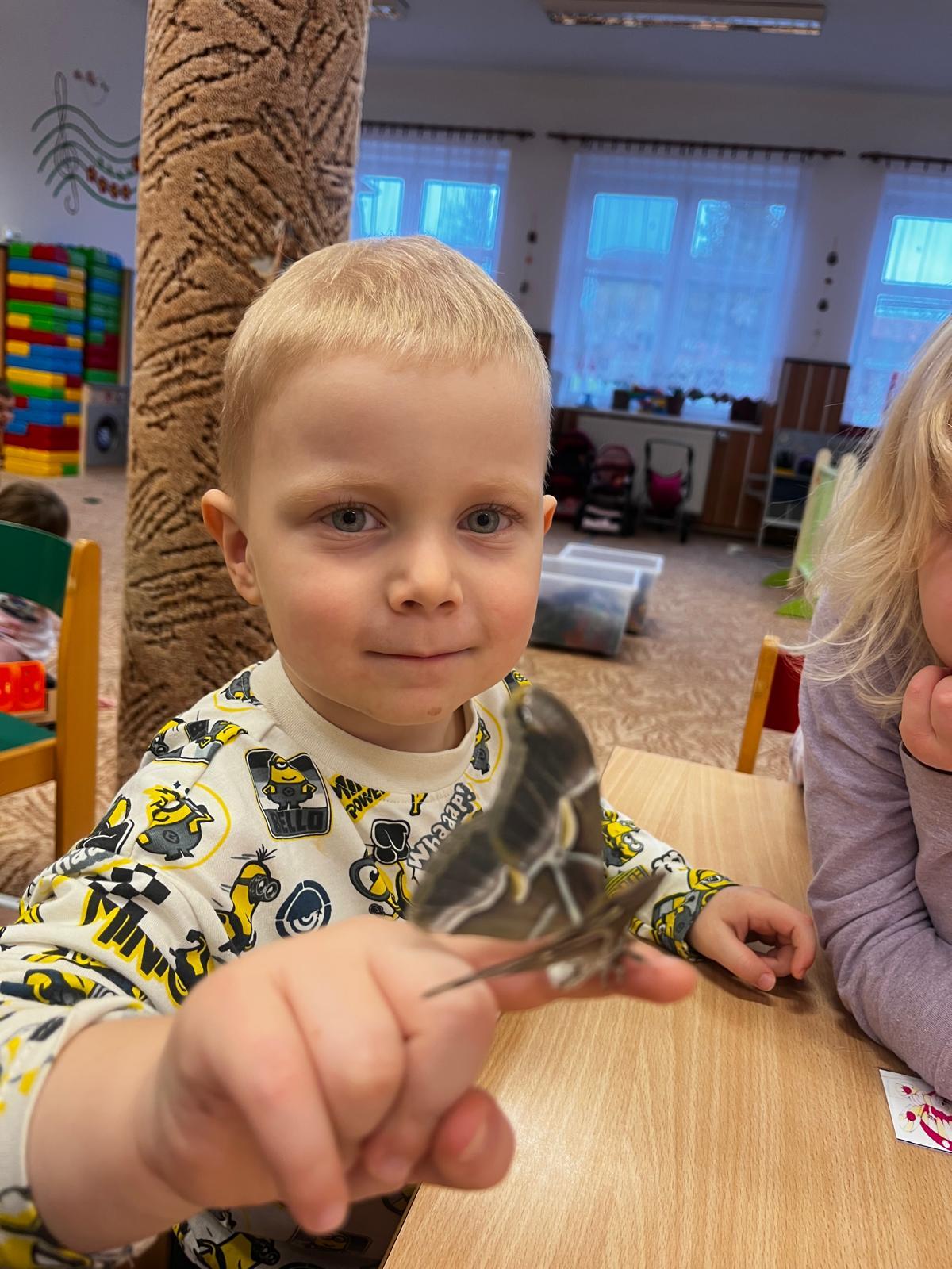 líhnutí motýlů ve školce - 4