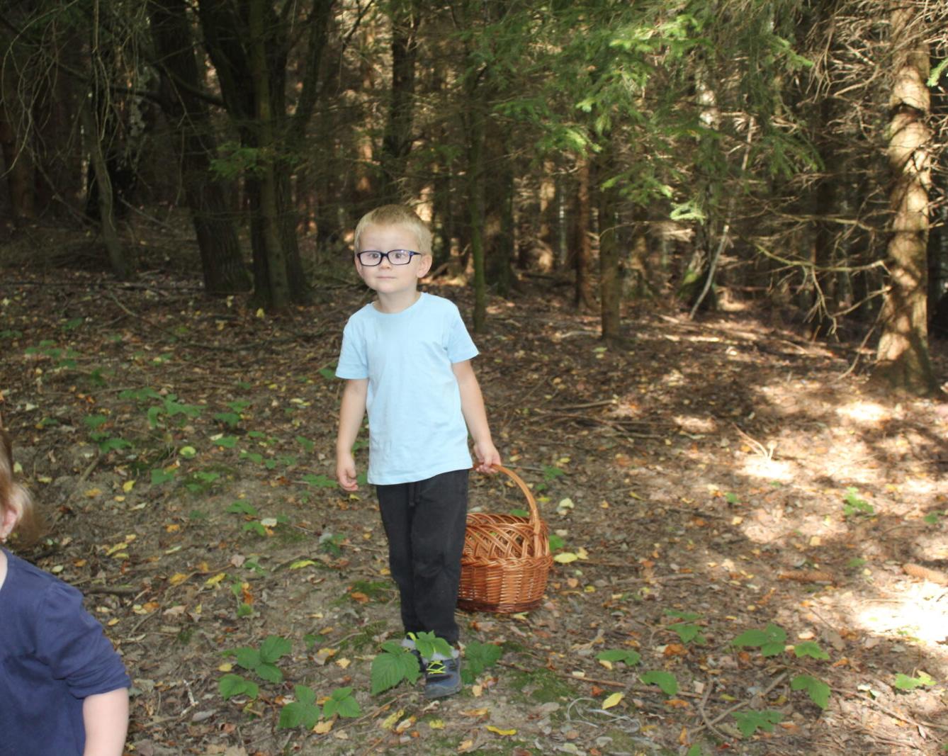 broučci: lesní dobrodružství se sovičkou jůlinkou - 32