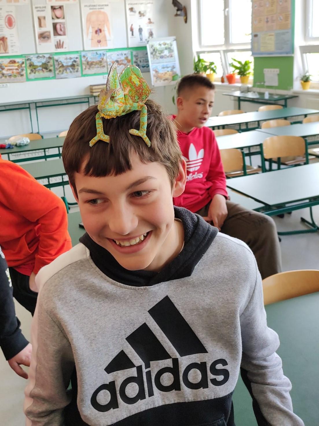 Přednáška s ukázkami exotických zvířat - 11