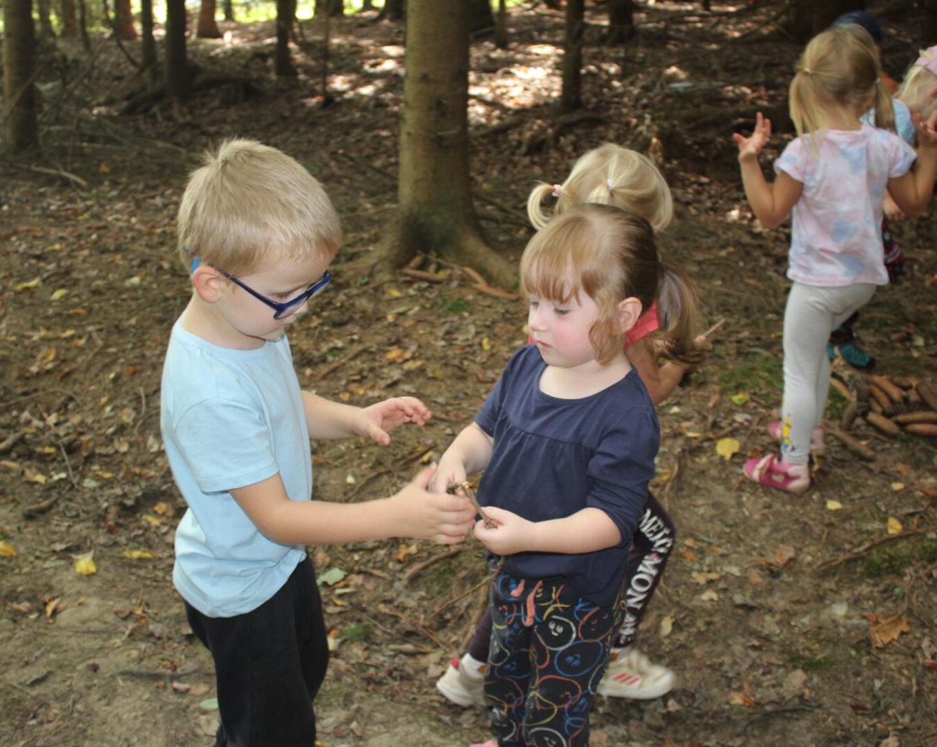 broučci: lesní dobrodružství se sovičkou jůlinkou - 33