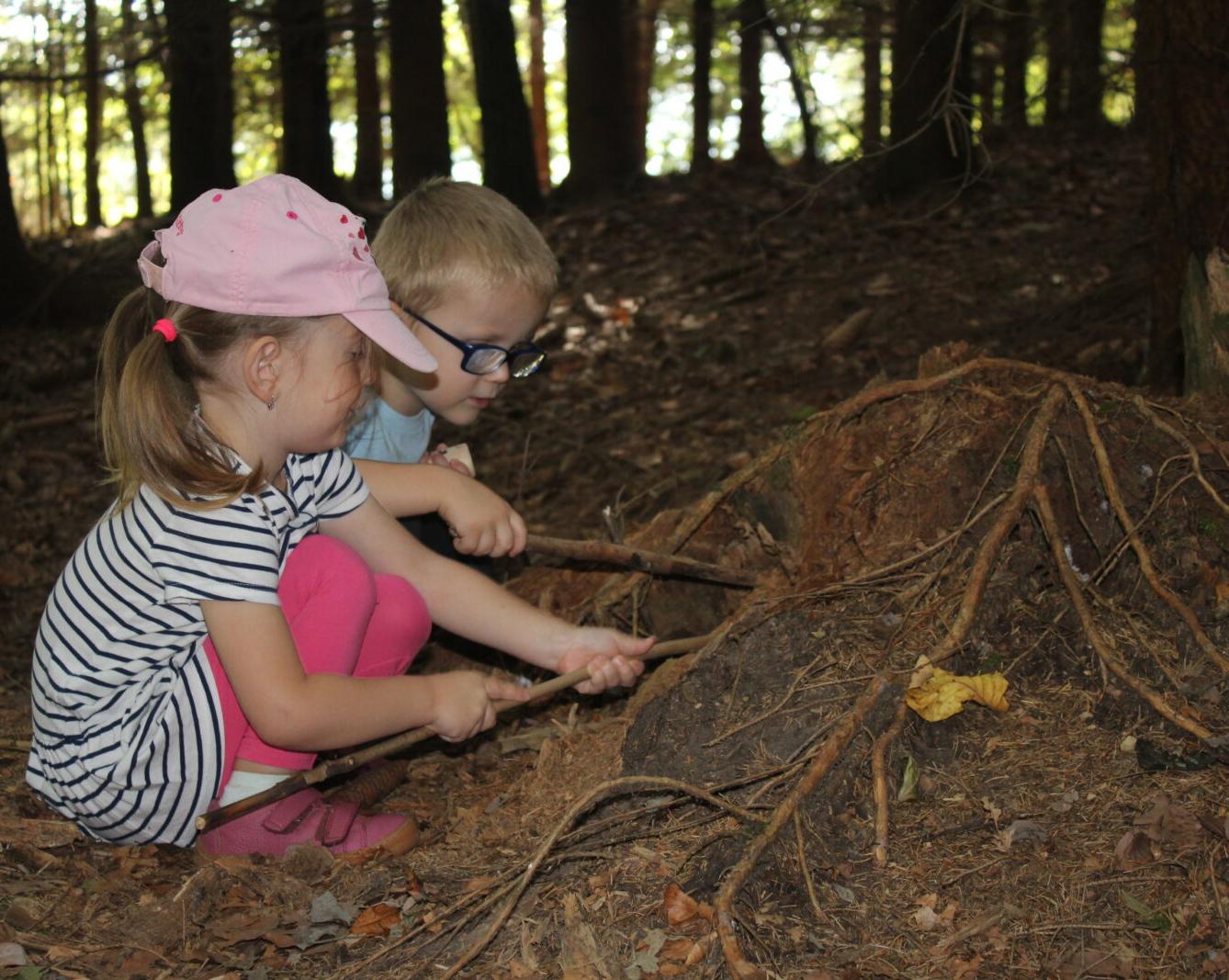 broučci: lesní dobrodružství se sovičkou jůlinkou - 40
