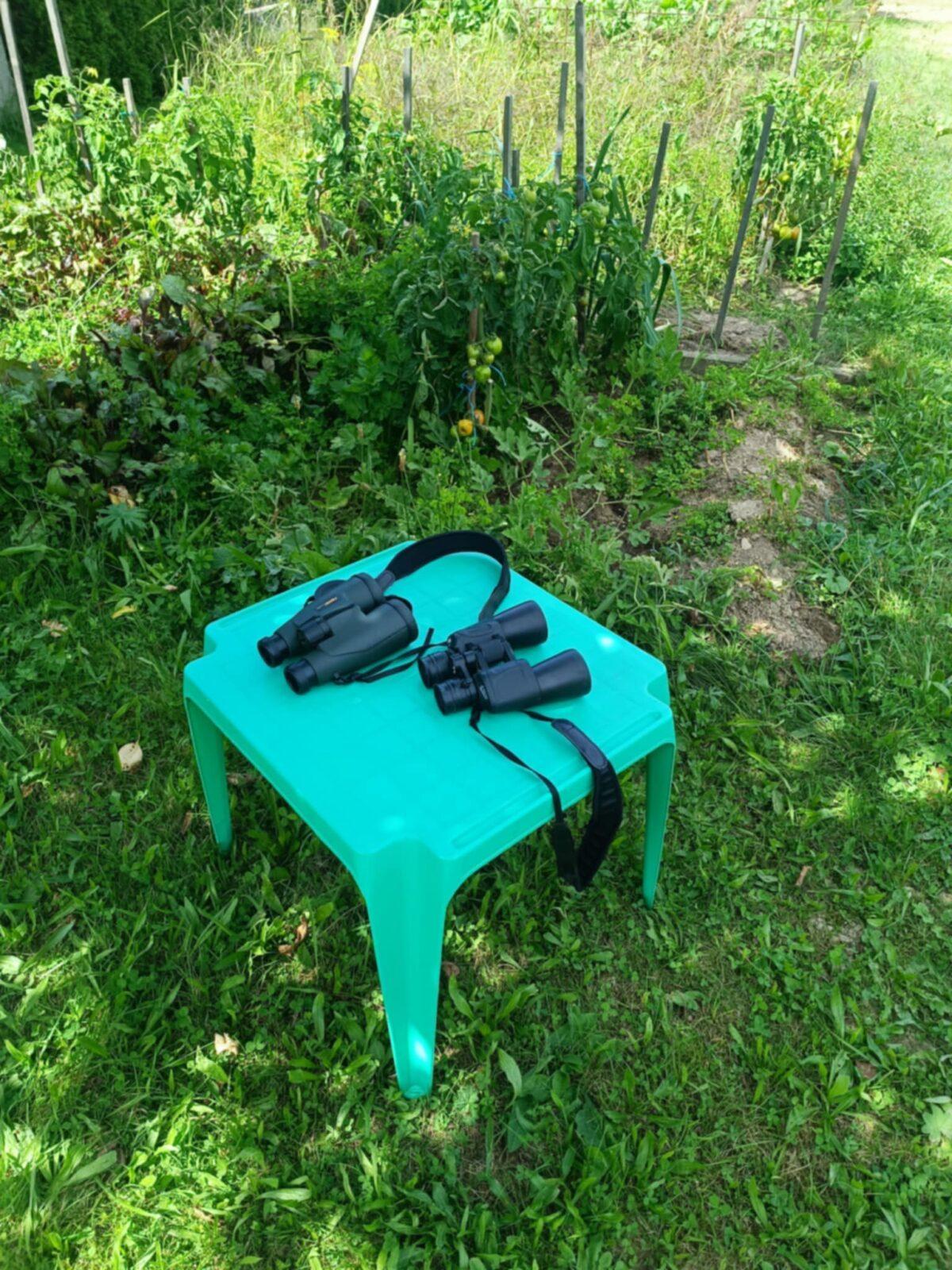 Týden plný zábavy II - pondělí - 21