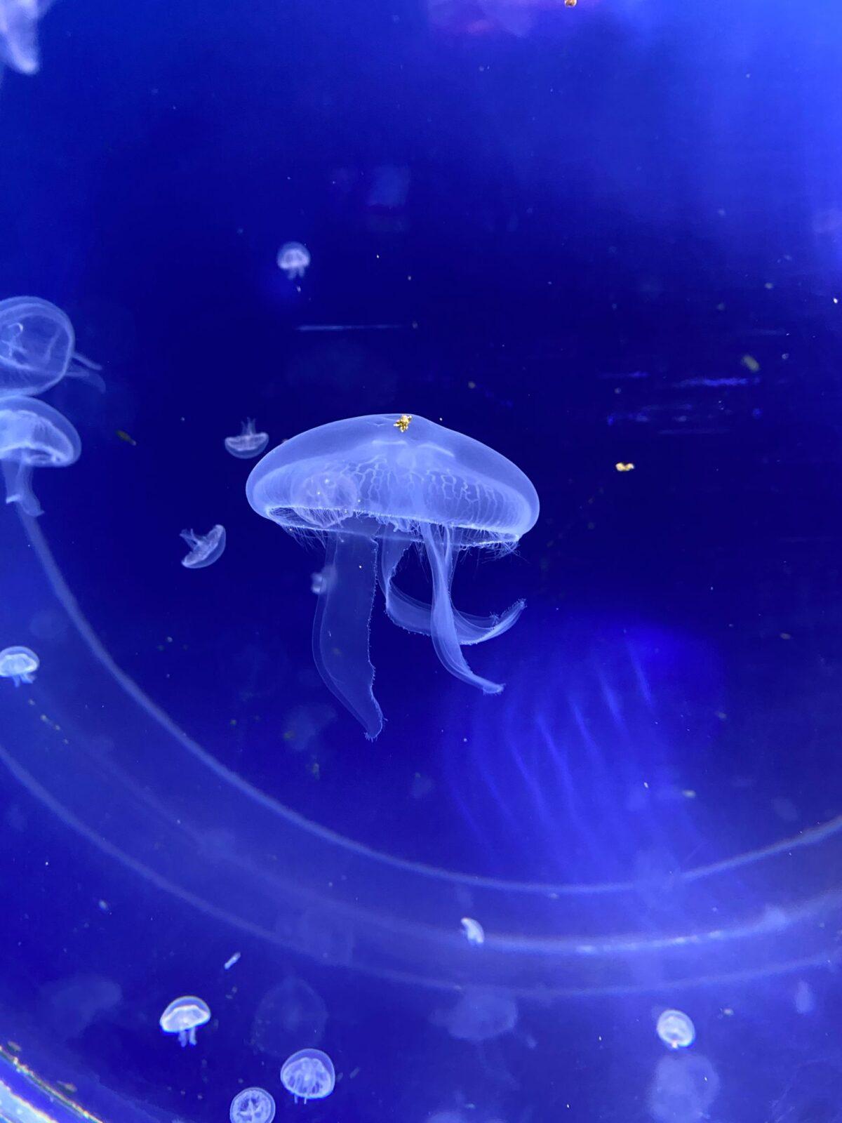 Školní výlet 8. B - 10