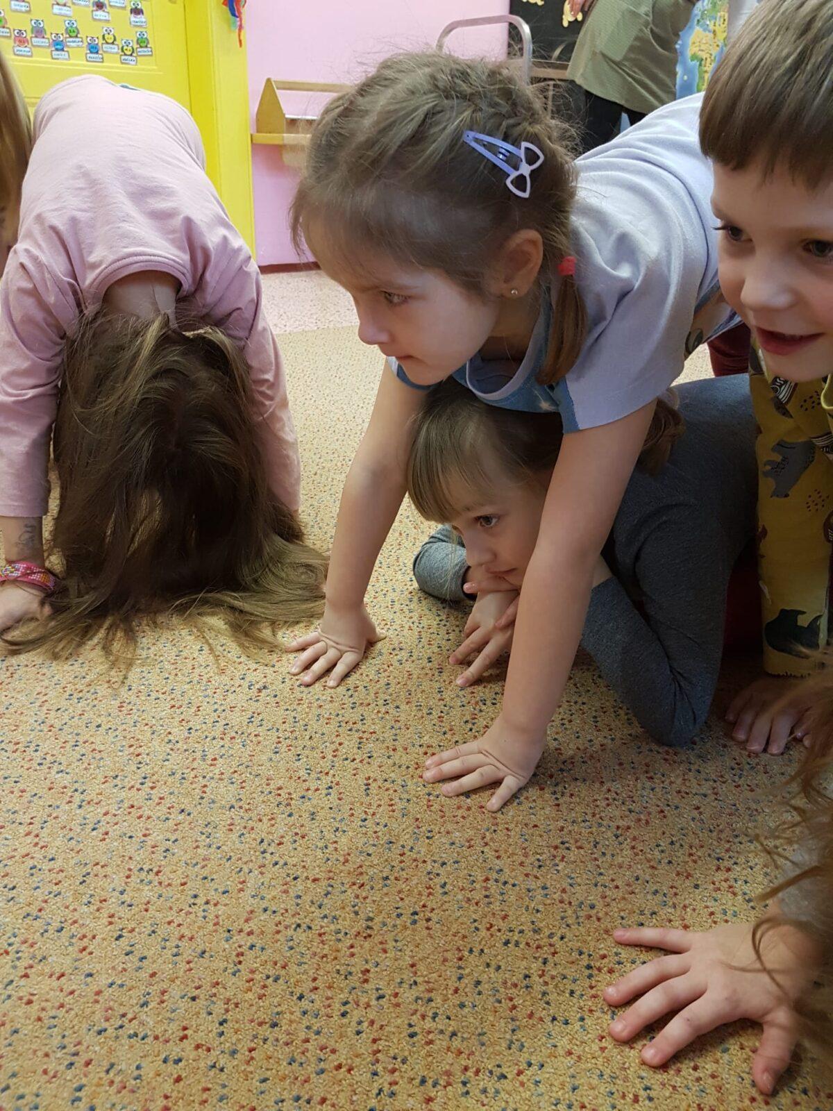 JÓGA S KOČIČKOU SALAMBOU - 13