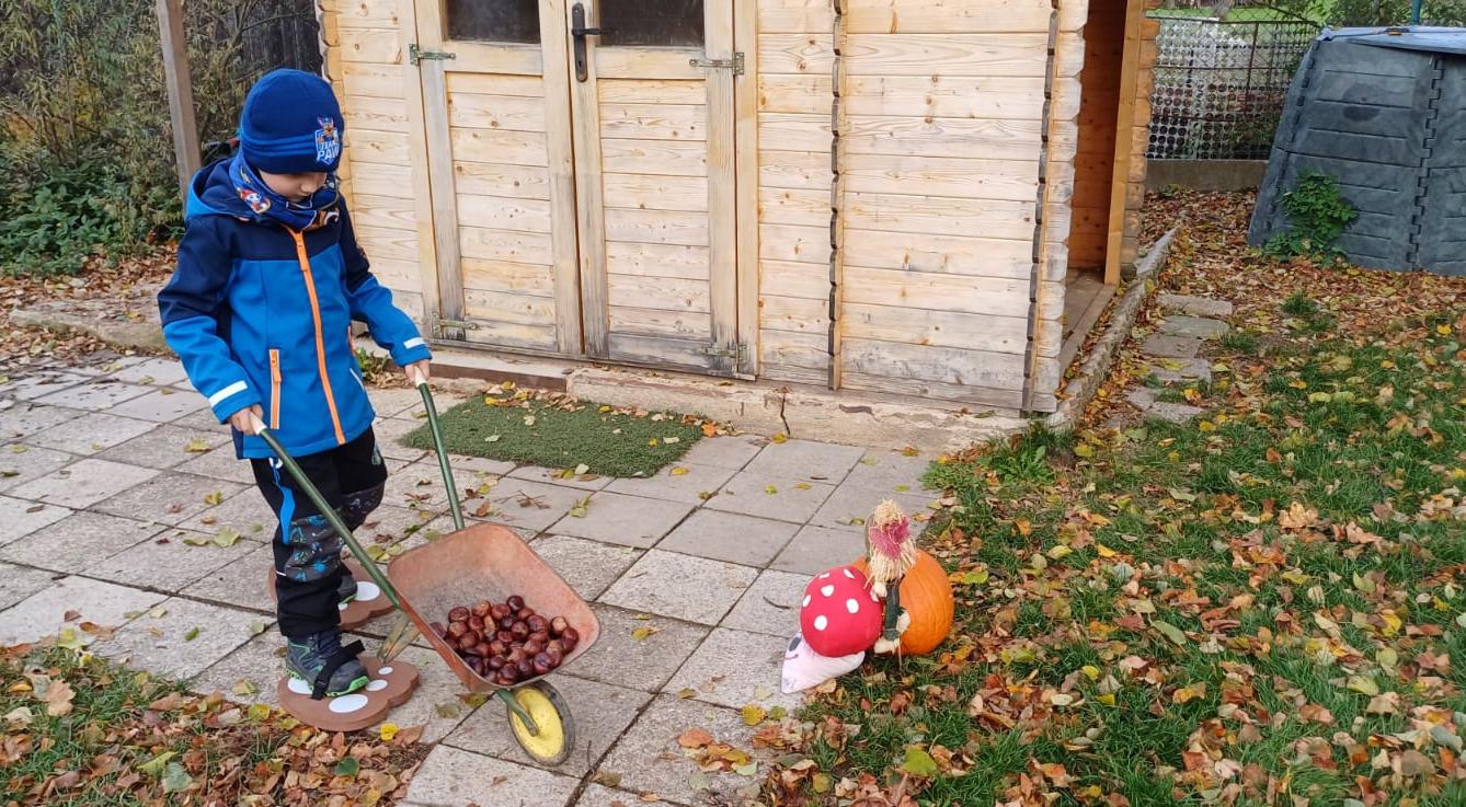 hledání podzimníčků - 15