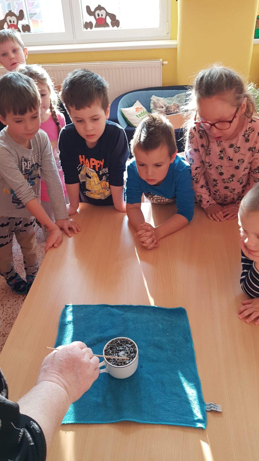 Sovičky: tvořeníčko, tvoření - "Zvířátka a ptáčci v zimě" :-) - 1