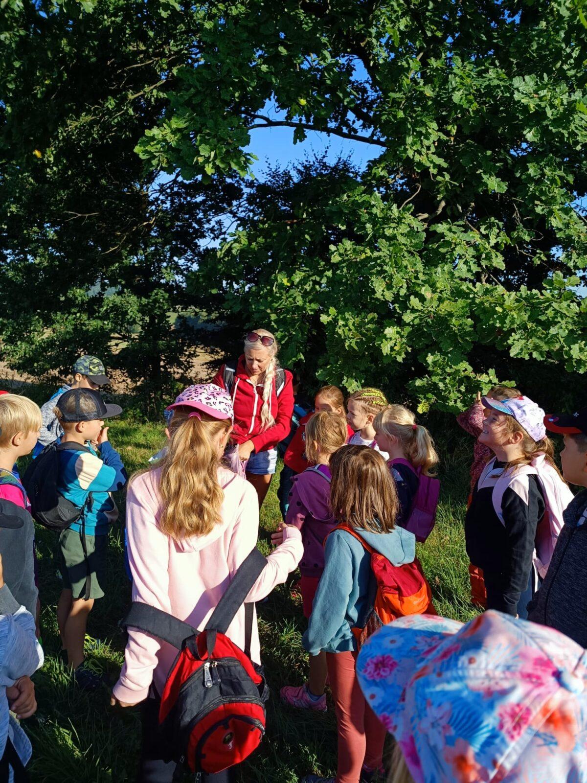 8. 9. Stopovaná s opékáním - 32