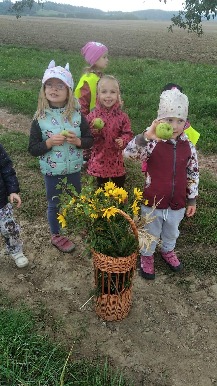Broučci - Poznáváme les a lesní stezka ve školce - 6