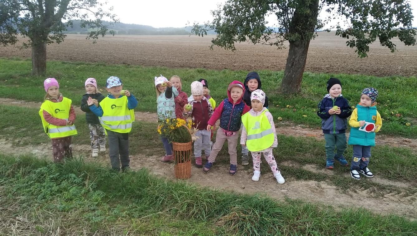 Broučci - Poznáváme les a lesní stezka ve školce - 7