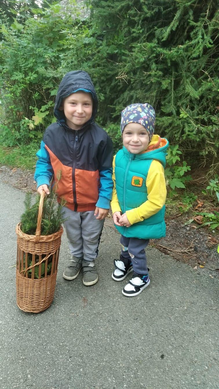 Broučci - Poznáváme les a lesní stezka ve školce - 9