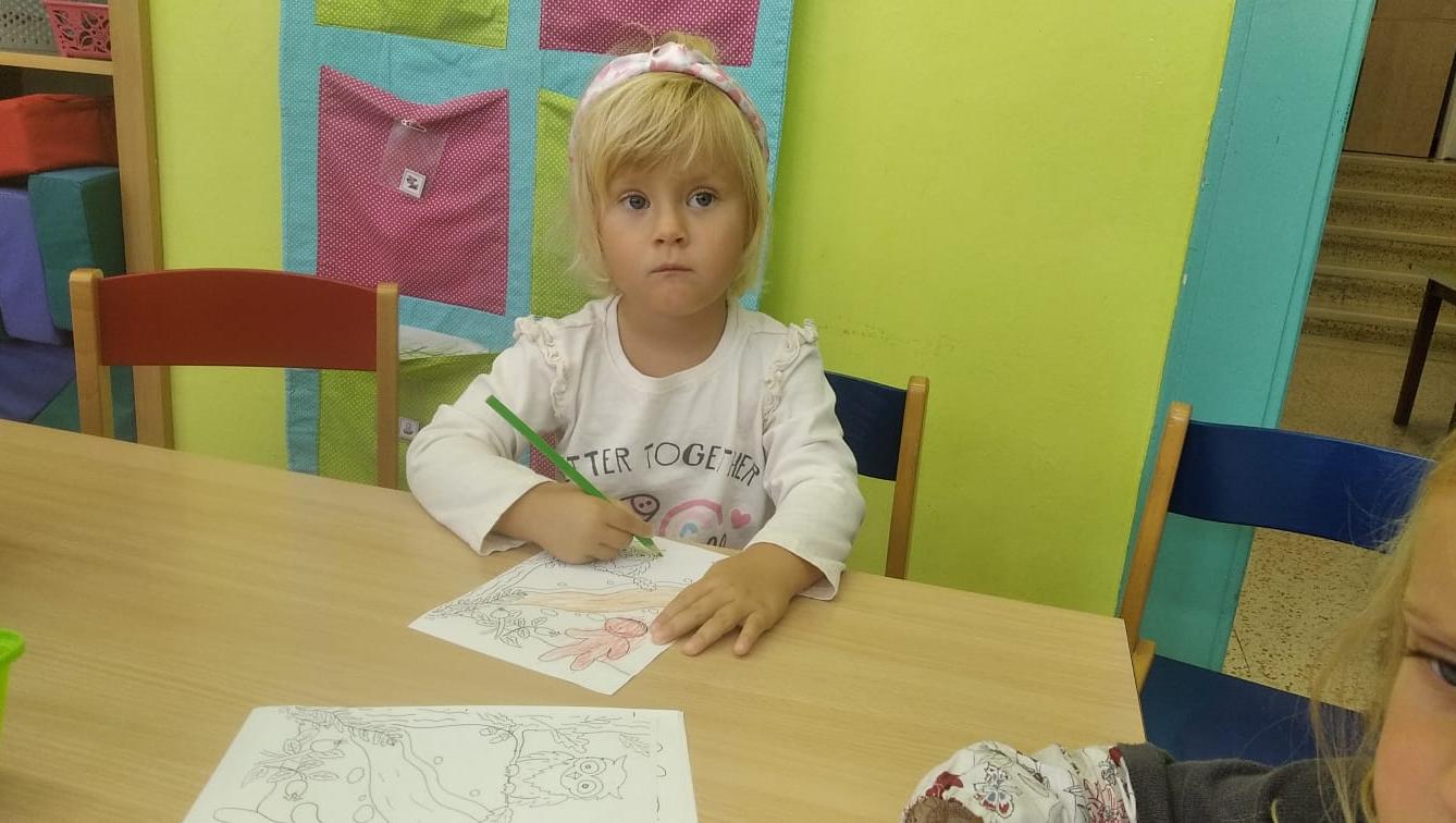 Broučci - Poznáváme les a lesní stezka ve školce - 12