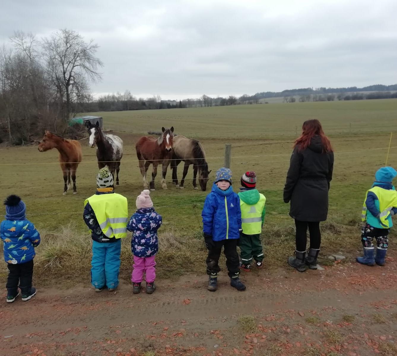 Broučci: Povídám, povídám pohádku - 15