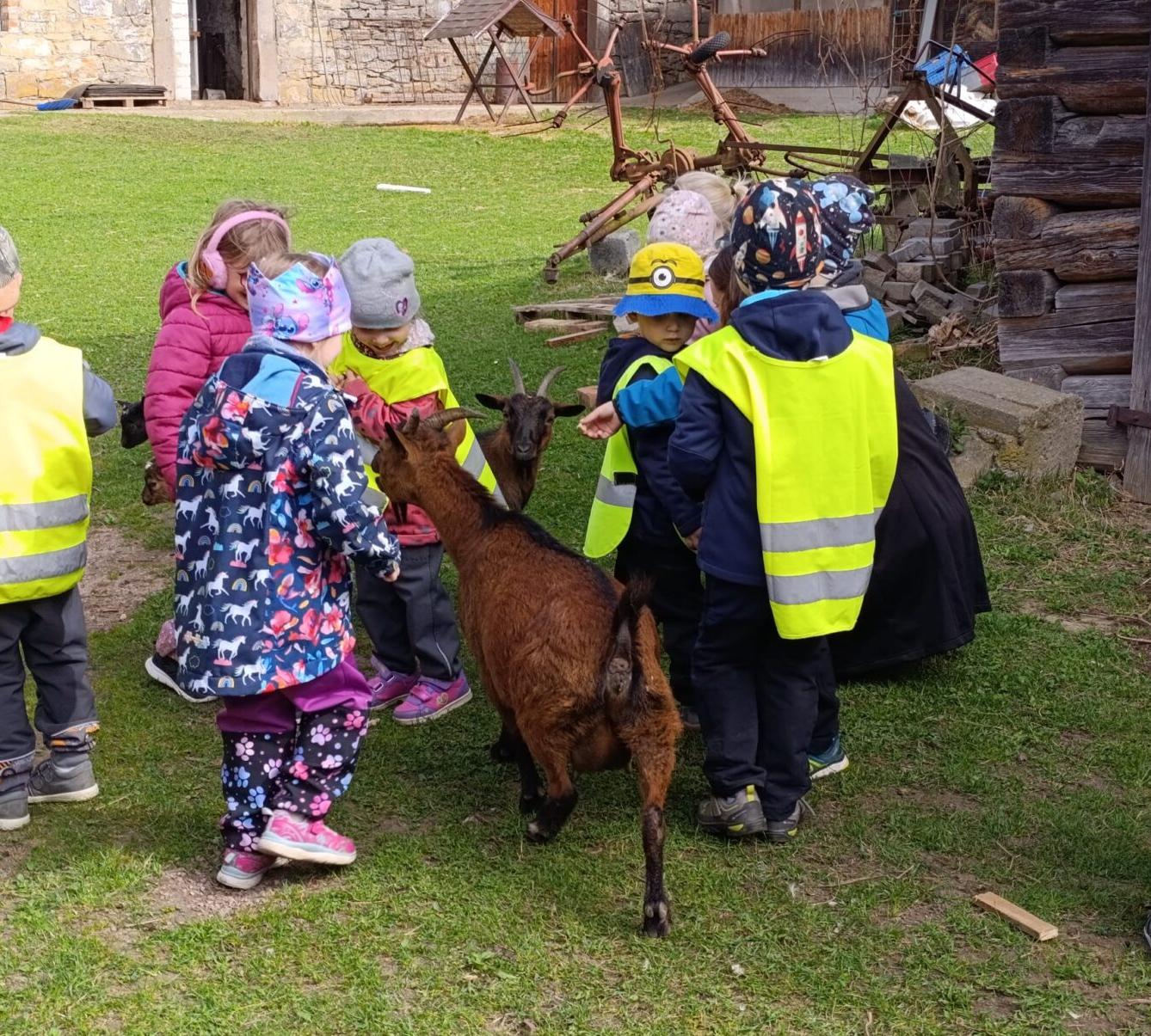 Broučci - Malované vajíčko - 1
