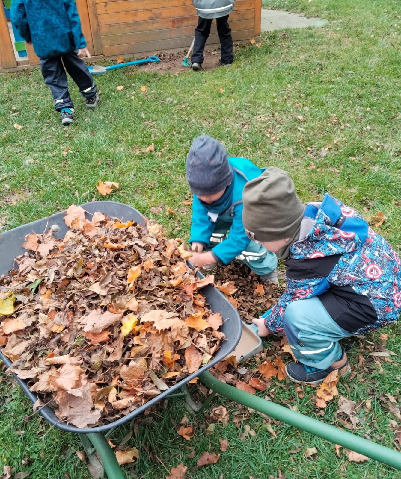 broučci: listí žloutne poletuje - 1