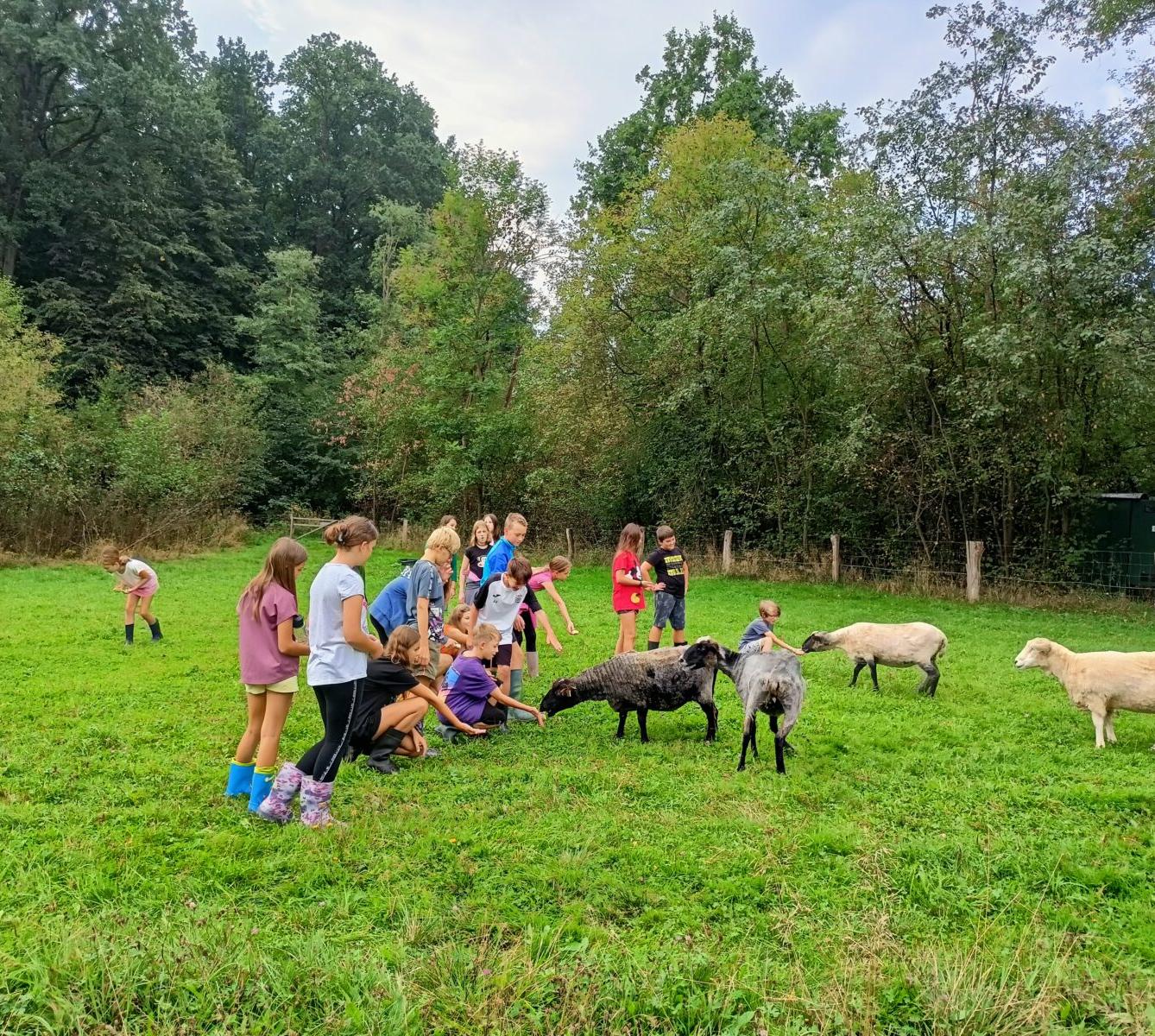 Adaptační kurz 6. třídy 12. - 15. 9. 2023 Sedmihorky - 17
