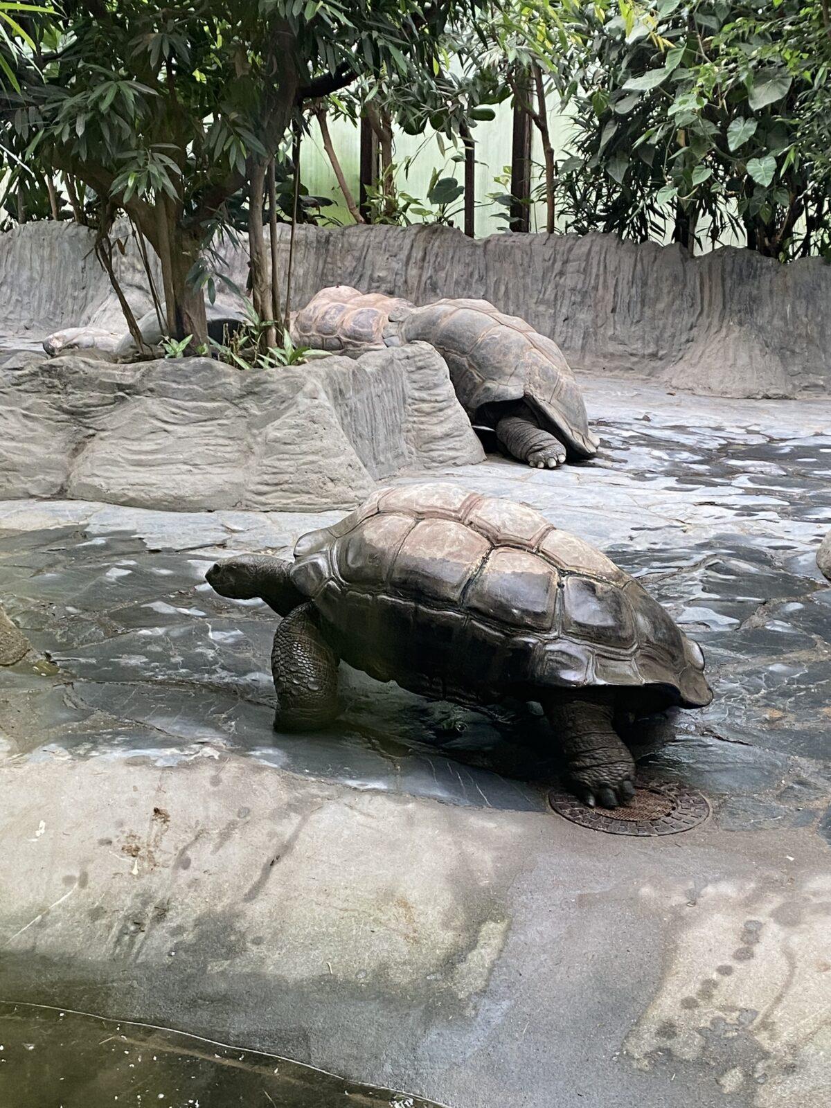 Školní výlet 7. B - 8