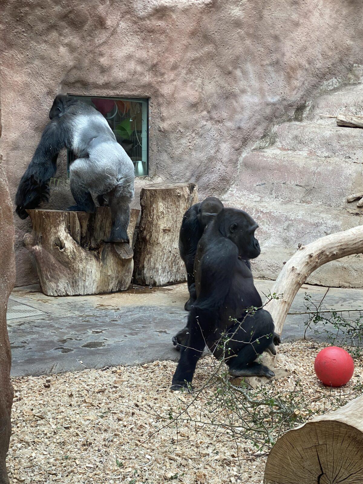 Školní výlet 7. B - 9