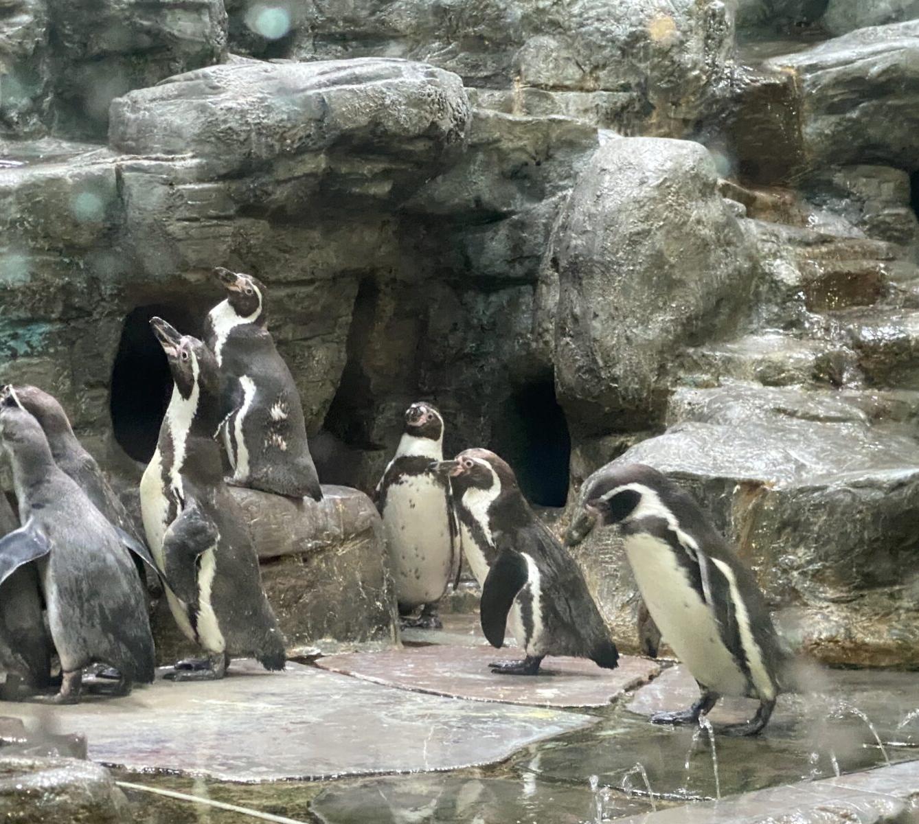 Školní výlet 7. B - 16