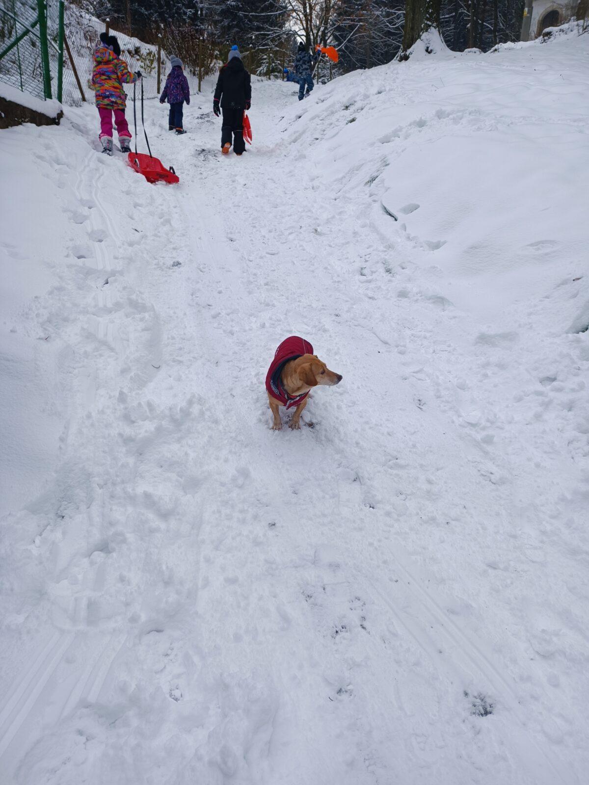 TLAPKY - Andrlův Chlum - 24