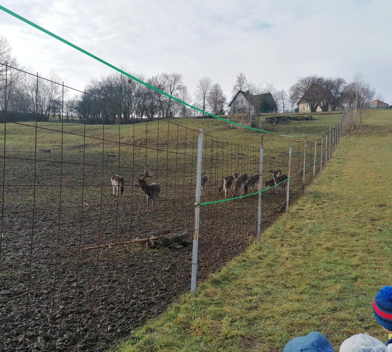 Broučci, vycházky za zvířátky :-) - 1