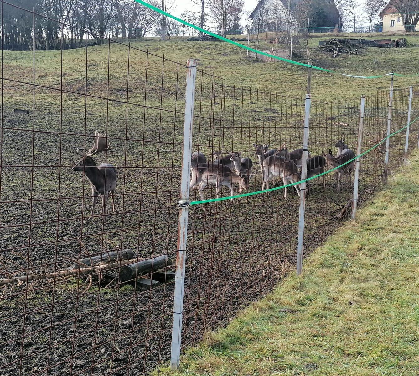 Broučci, vycházky za zvířátky :-) - 2