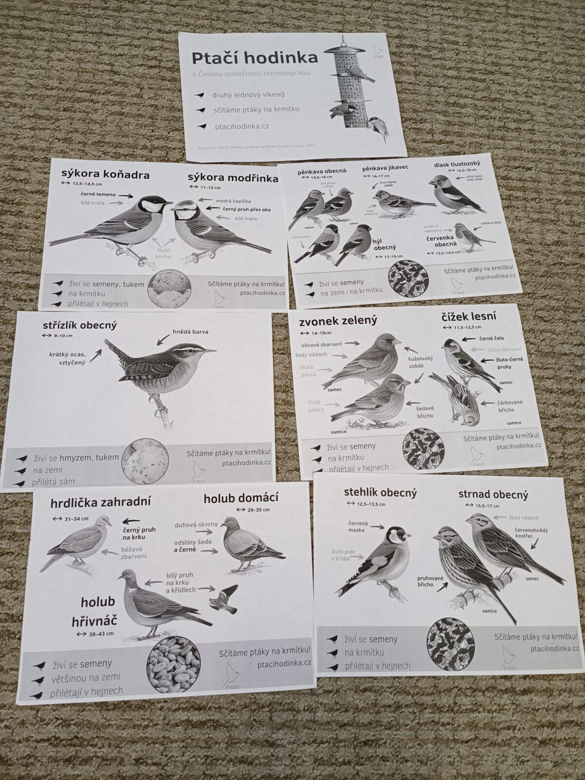 TLAPKY - výprava LEDEN - 23