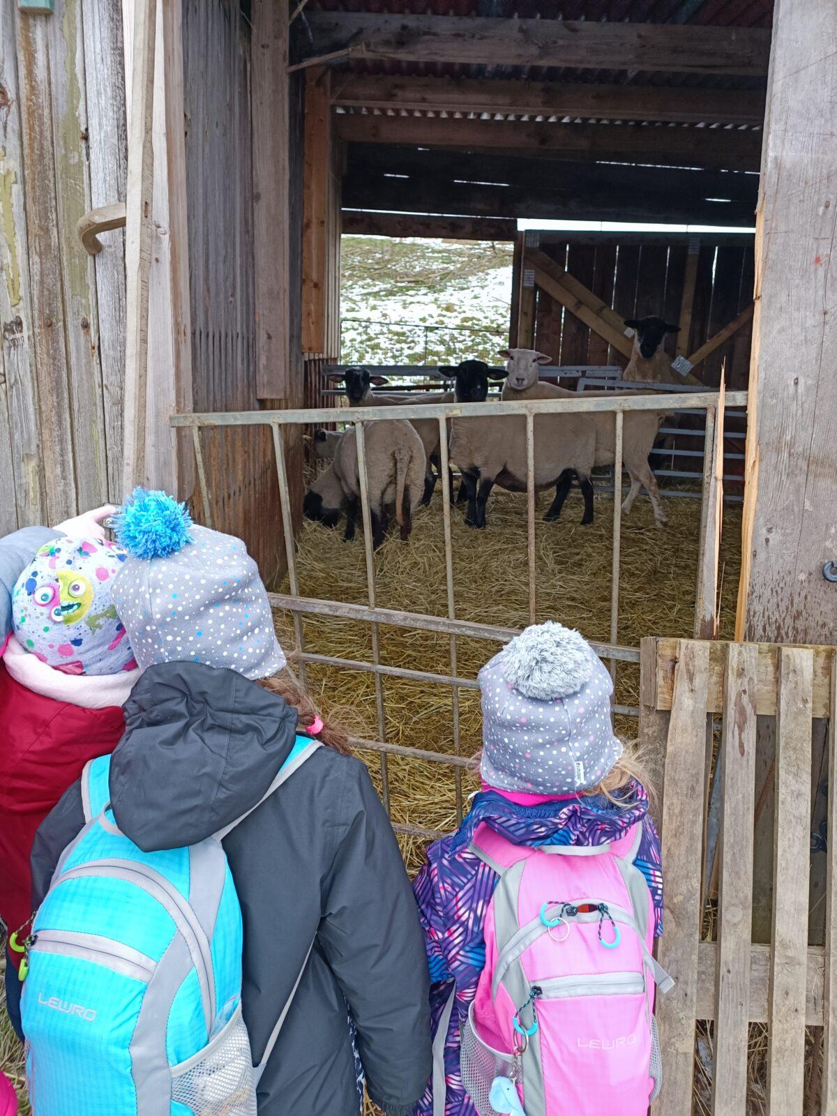 TLAPKY - výprava LEDEN - 46