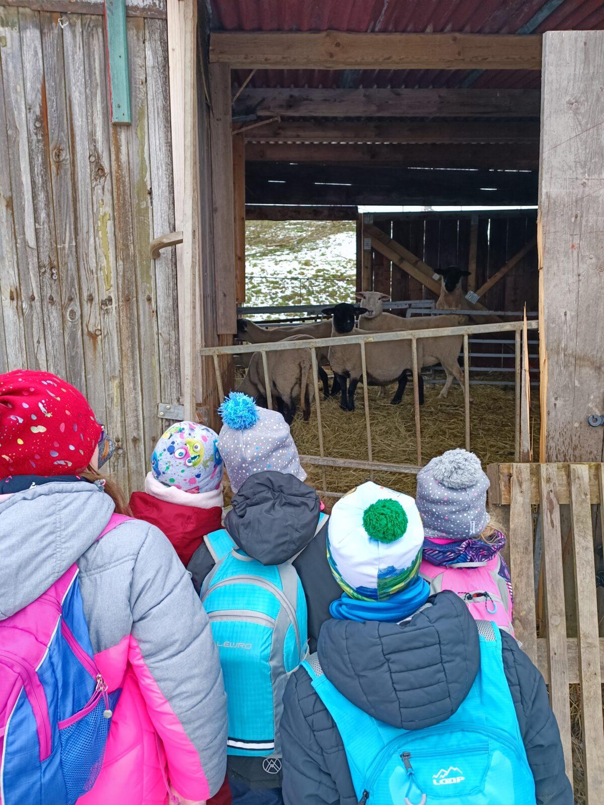 TLAPKY - výprava LEDEN - 47