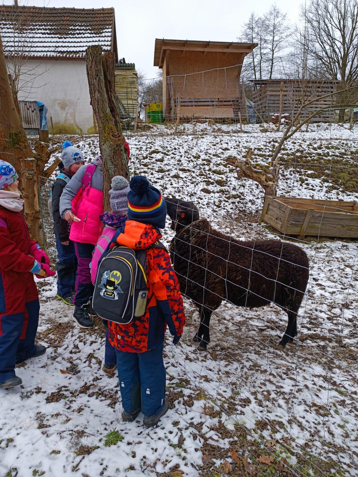 TLAPKY - výprava LEDEN - 62