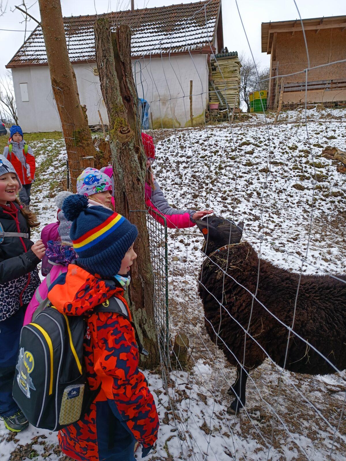 TLAPKY - výprava LEDEN - 63