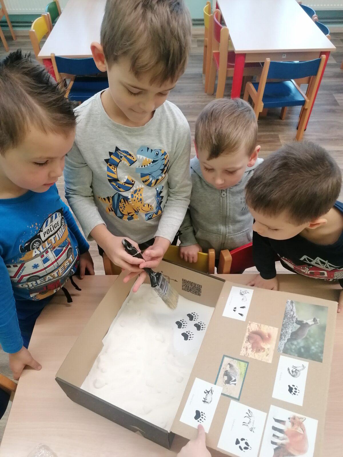 "Poznáváme zvířátka podle stop" :-) - 1