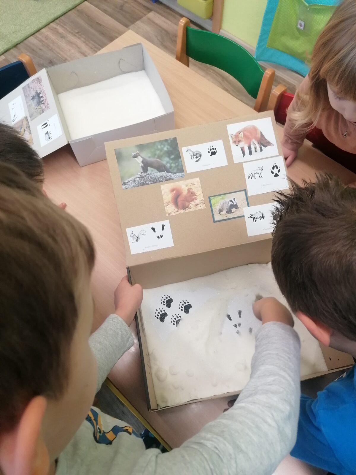 "Poznáváme zvířátka podle stop" :-) - 2