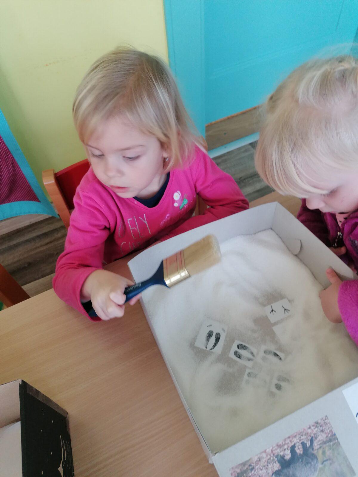 "Poznáváme zvířátka podle stop" :-) - 22