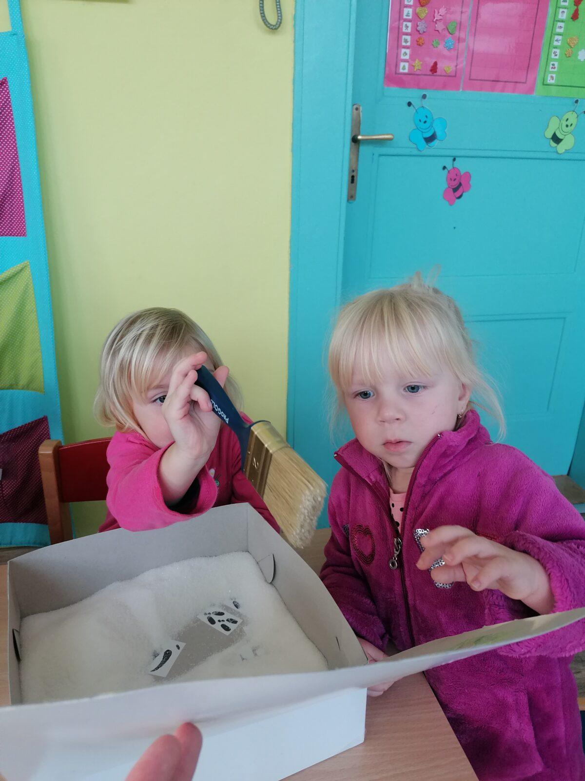 "Poznáváme zvířátka podle stop" :-) - 24