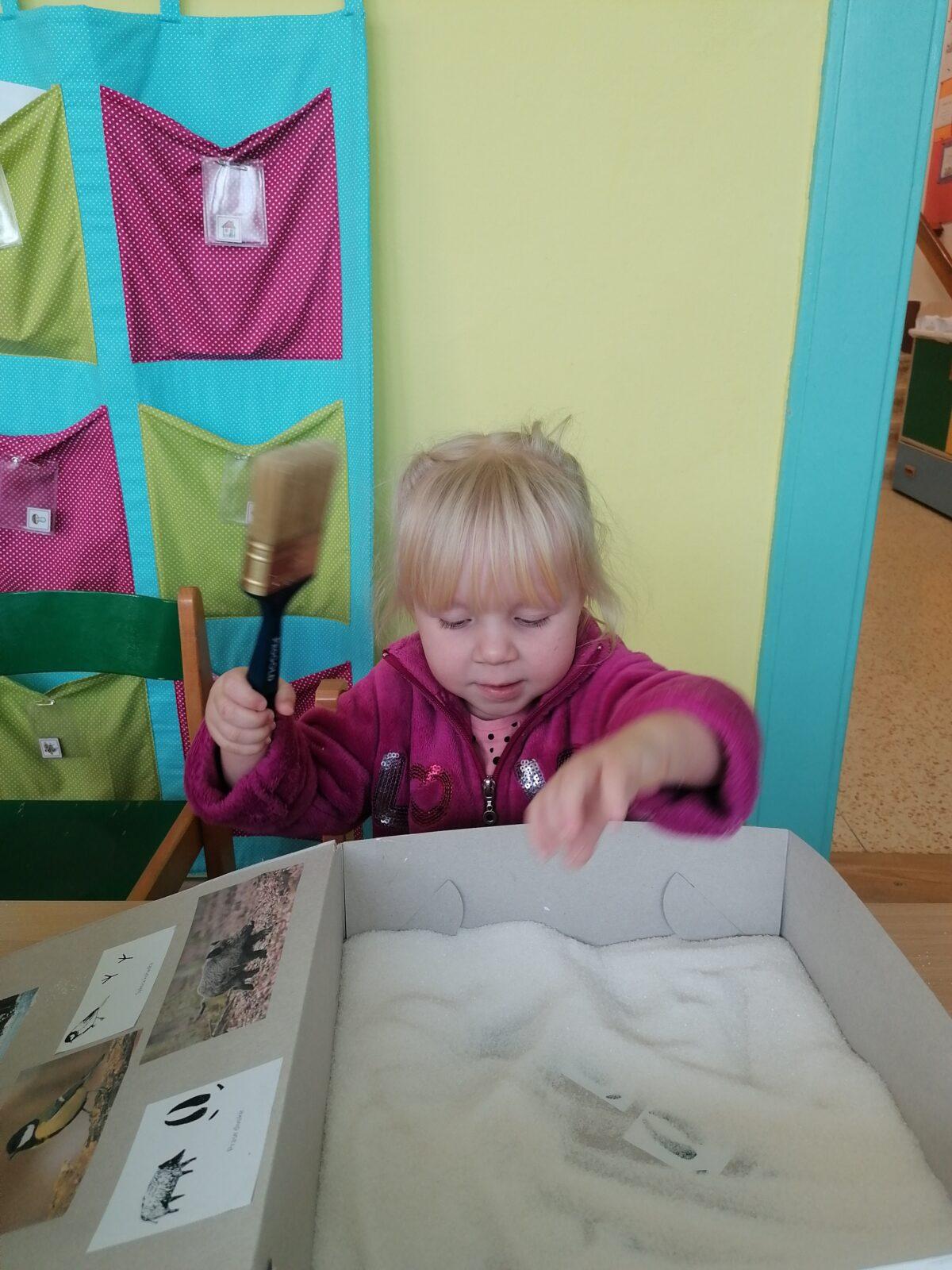 "Poznáváme zvířátka podle stop" :-) - 29