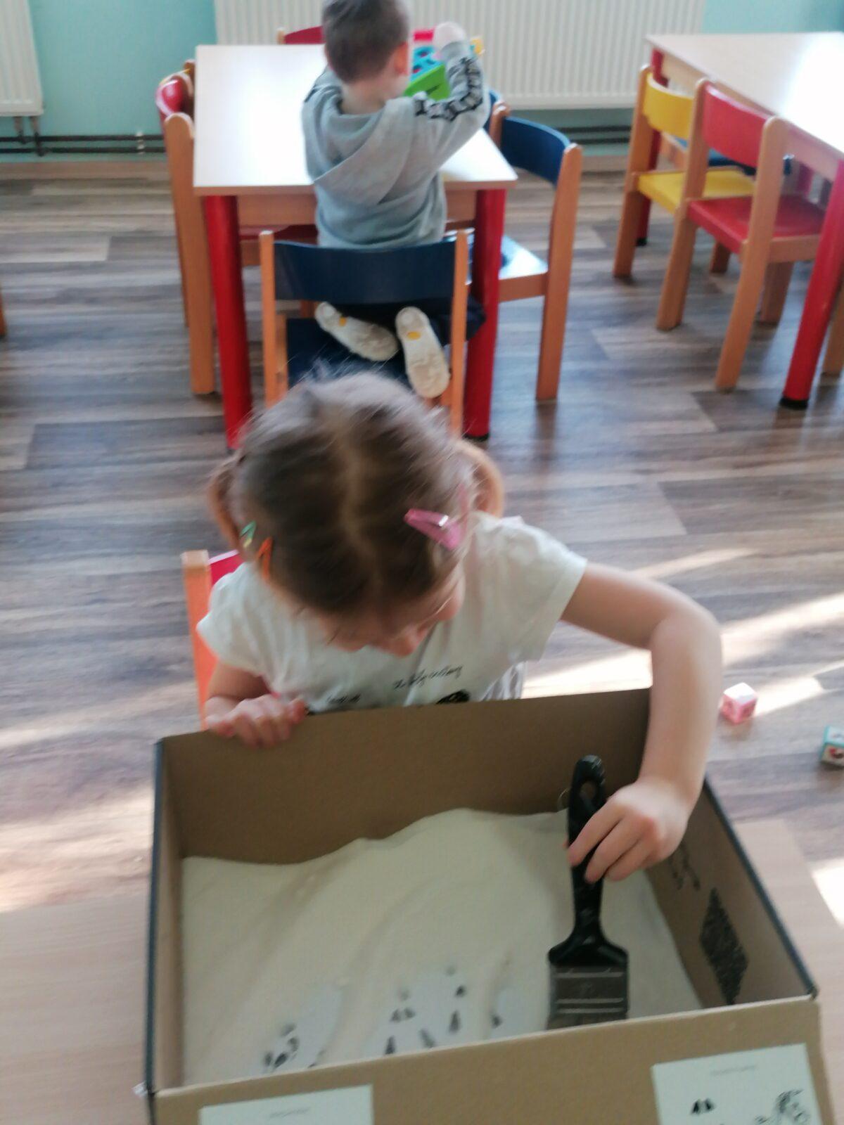 "Poznáváme zvířátka podle stop" :-) - 31