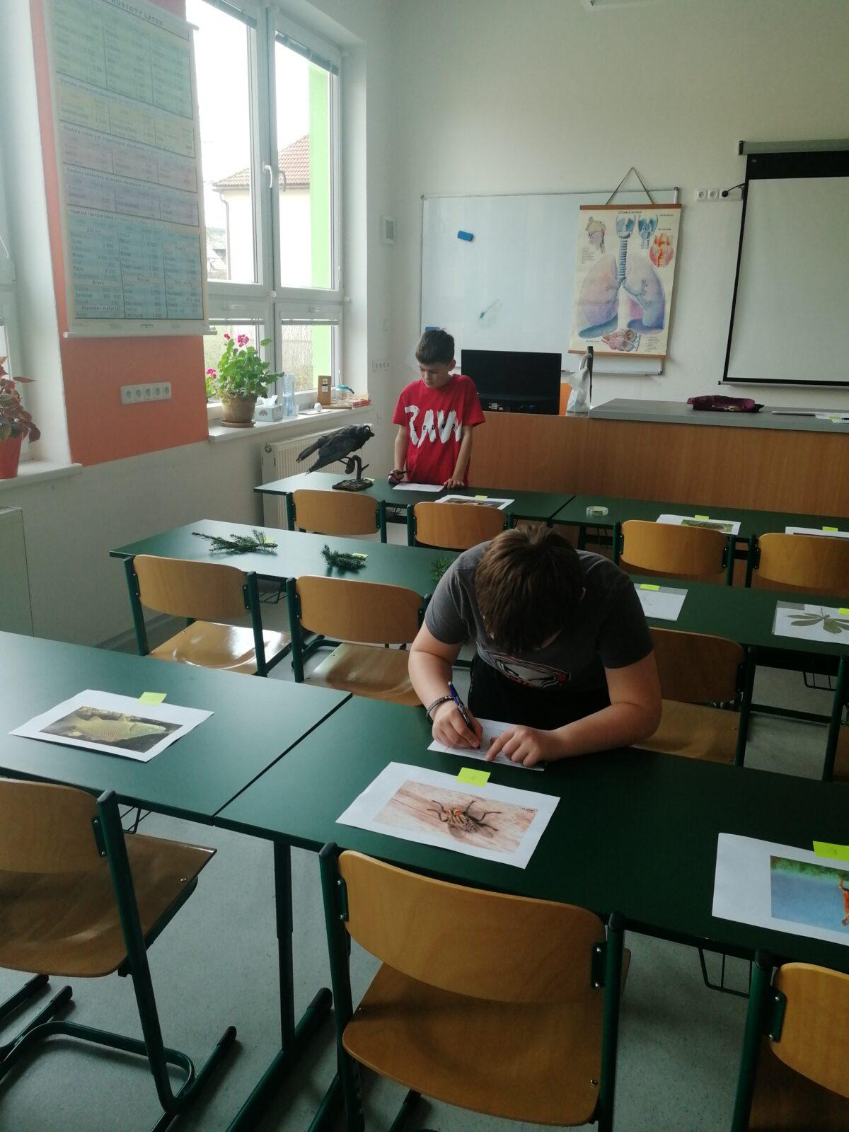 Školní kolo v Poznávání přírodnin a minerálů - 1