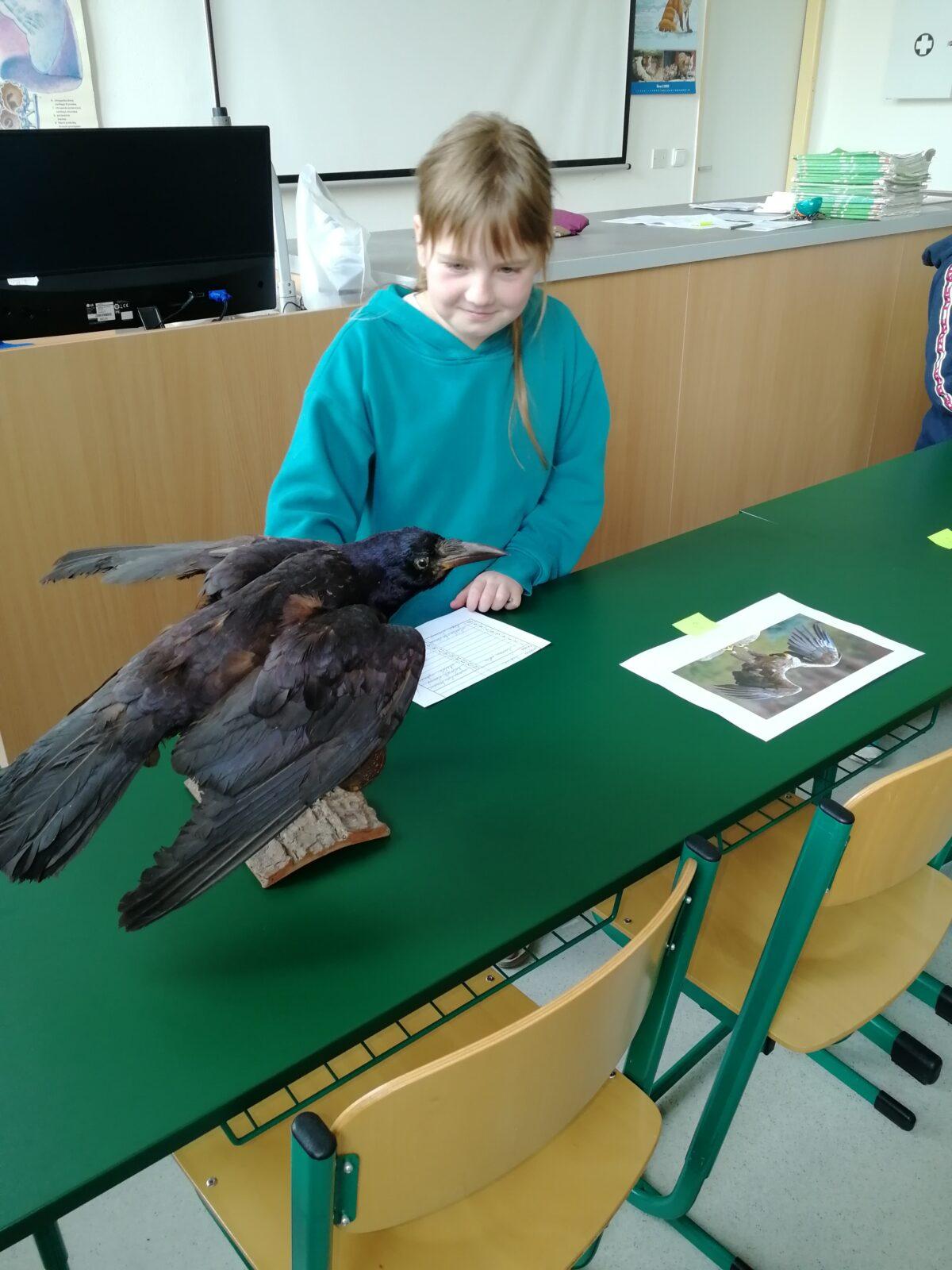 Školní kolo v Poznávání přírodnin a minerálů - 6