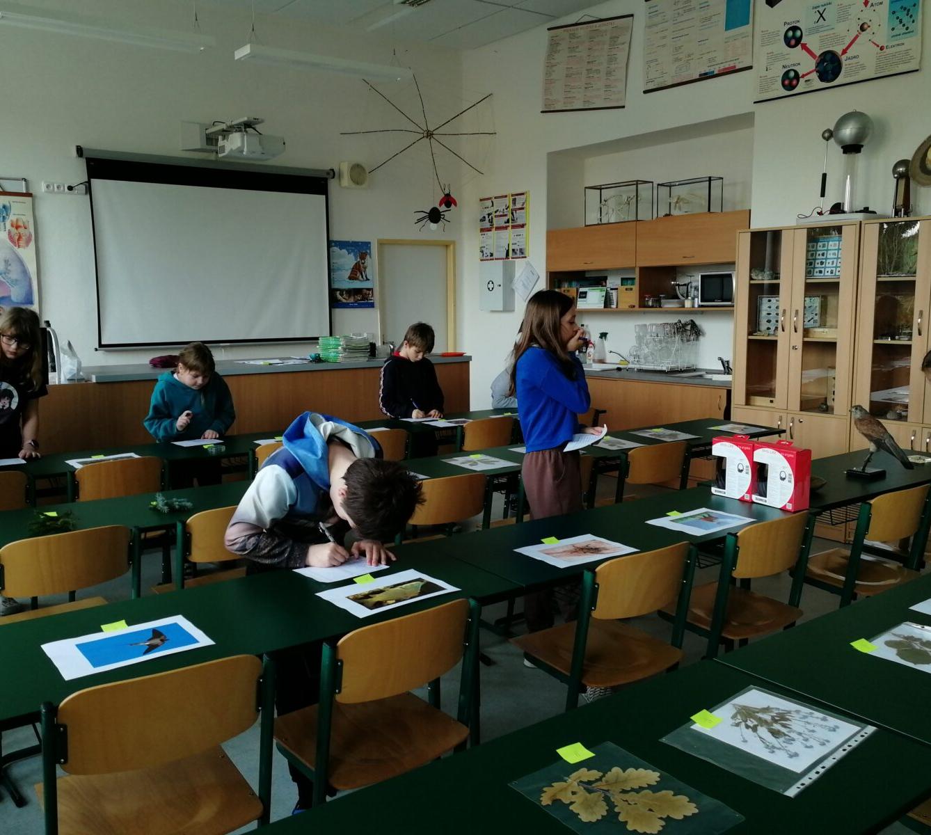 Školní kolo v Poznávání přírodnin a minerálů - 8