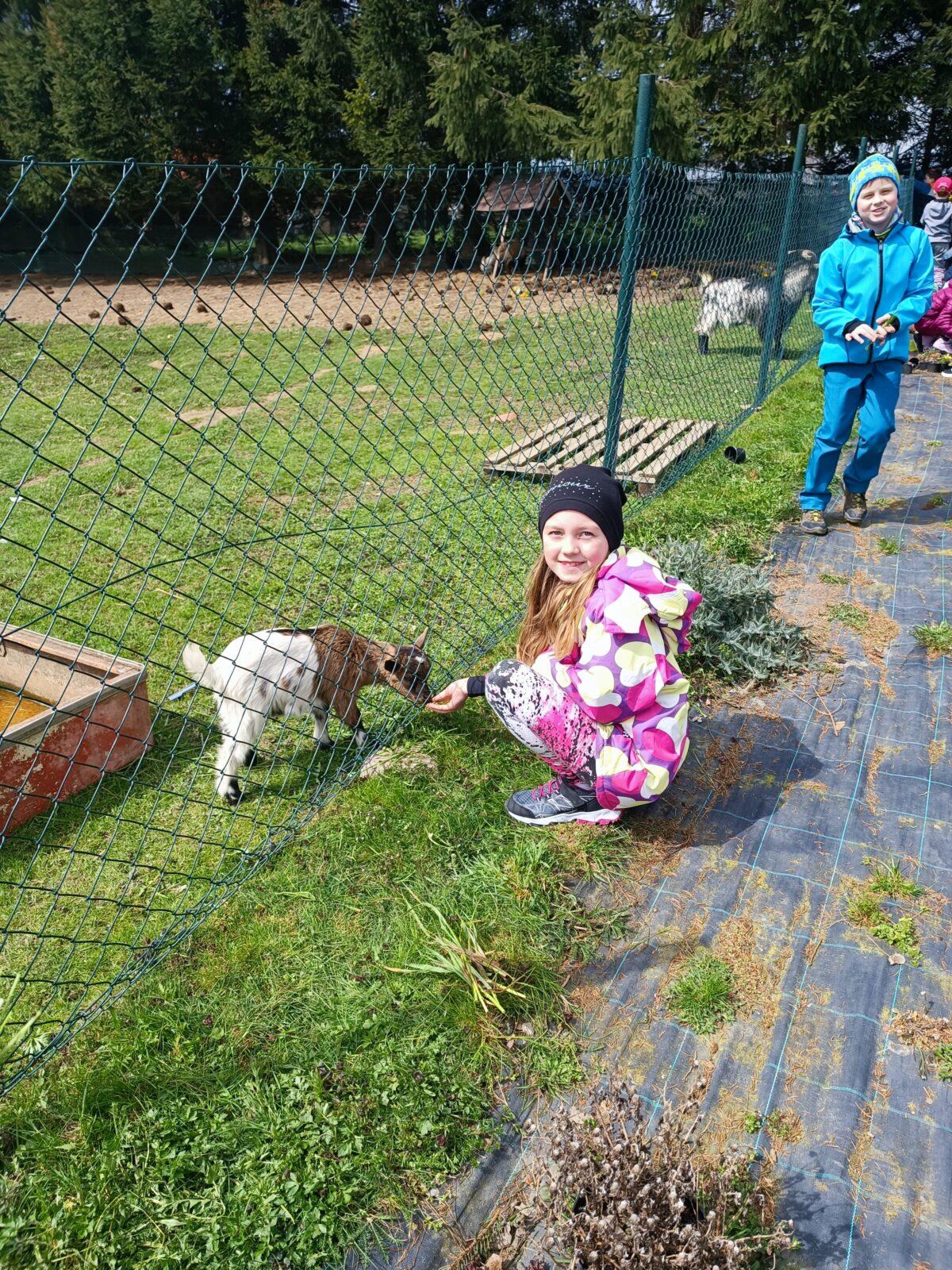 II. oddělení školní družina - duben,březen - 23