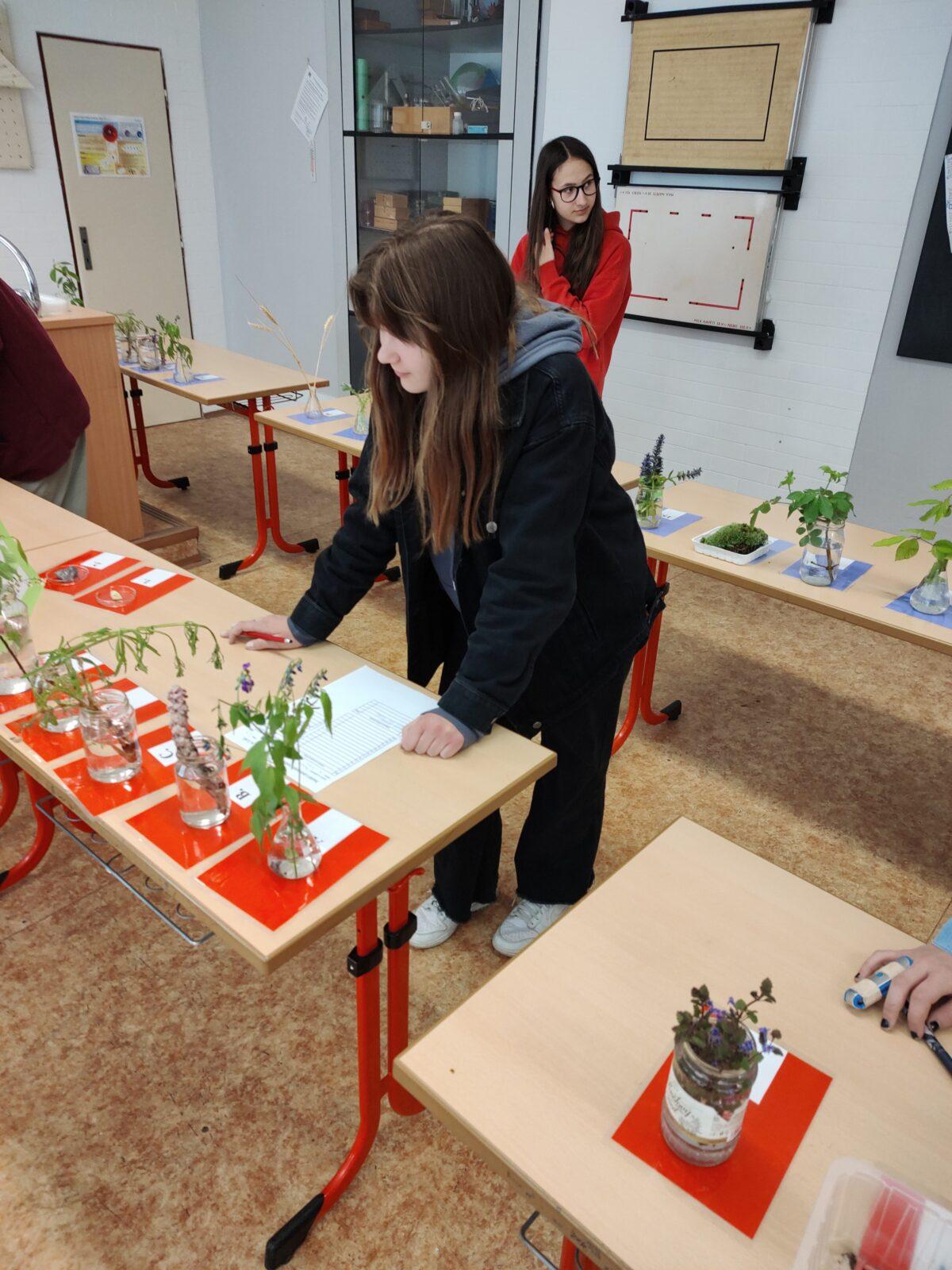 Poznávání přírodnin a minerálů - II. st. - 2