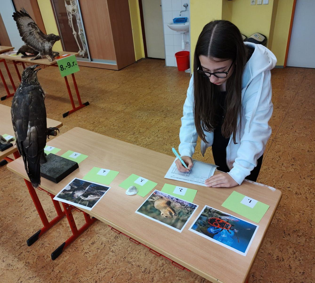 Poznávání přírodnin a minerálů - II. st. - 3