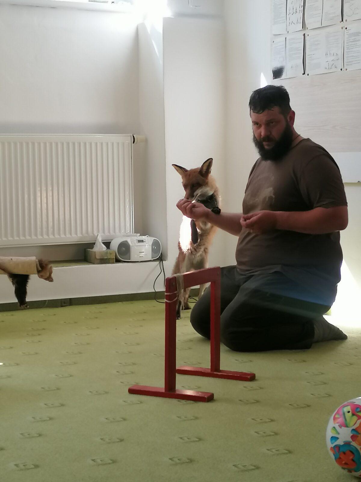 Liška COCO v MŠ :-) - 14